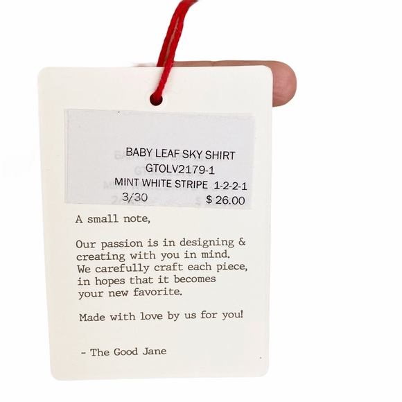 NWT THE GOOD JANE Baby Leaf Sky Mint Stripe Top L - Picture 5 of 8